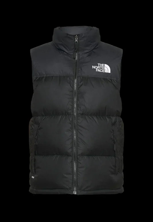 TNF VEST